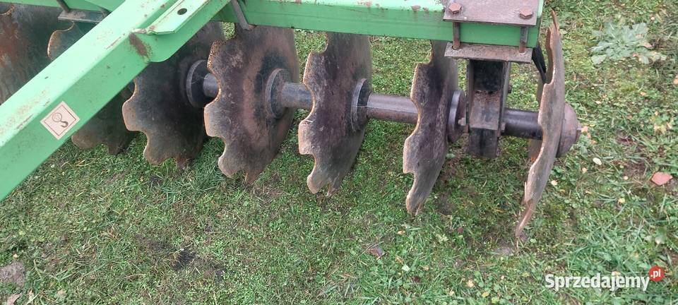 Talerzwka Bomet nieuszkodzony Kock