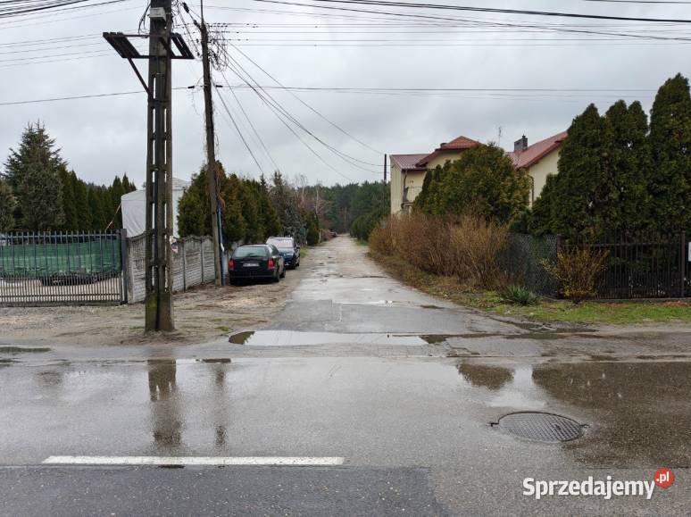 Syndyk sprzeda Wola Aleksandra dz 244 Nieruchomości sprzedam