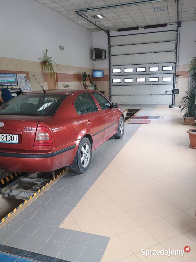 Skoda Octavia 19 TDI 110KM Octavia