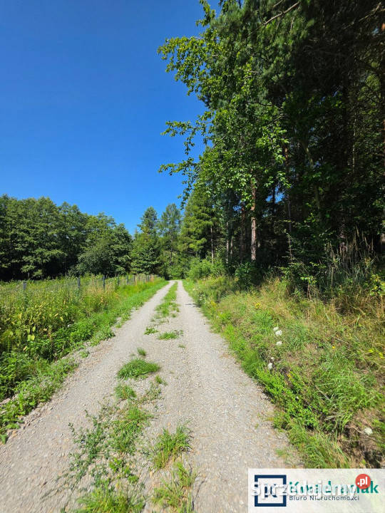 Działka 1921m2 Turze Pole utwardzona