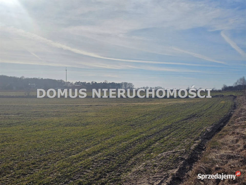 Działka 4500m2 Polik 60zł/m2