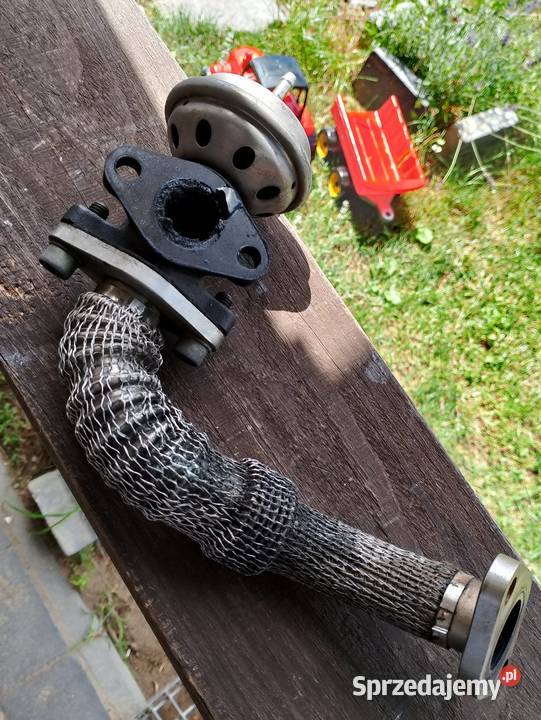 Audi afn passat Sharan egr Chełm