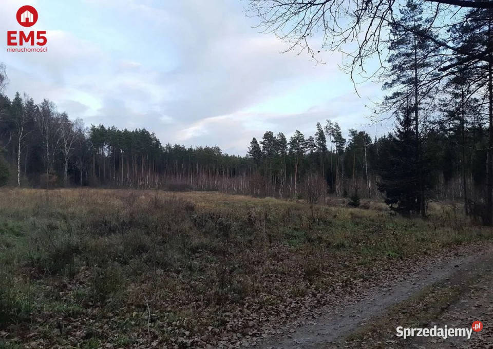 Sprzedam działka Rzepniki 1182m2 Niewodnica Nargilewska-Kolonia sprzedam