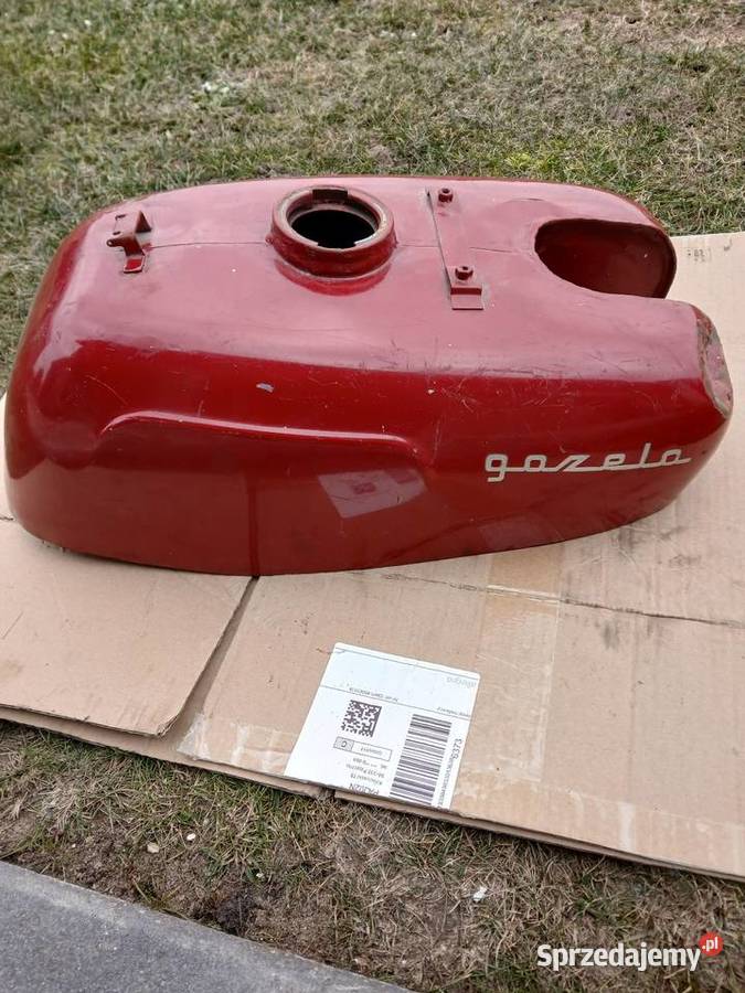 Bak gazela Pajęczno