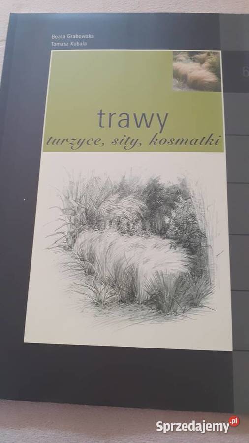 Trawy turzyce sity kosmatki
