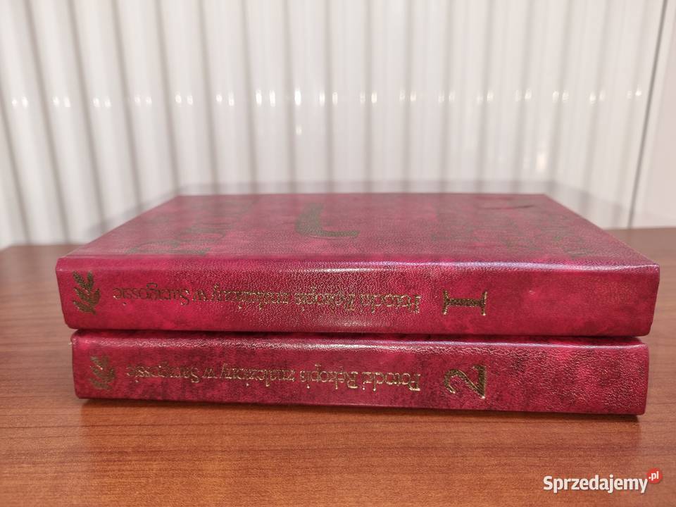 Rękopis znaleziony w Saragossie Tom 12 Jan Lublin