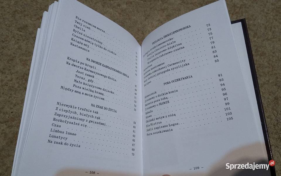 Pora oczekiwania Małgorzata Chorąży twarda Gdańsk