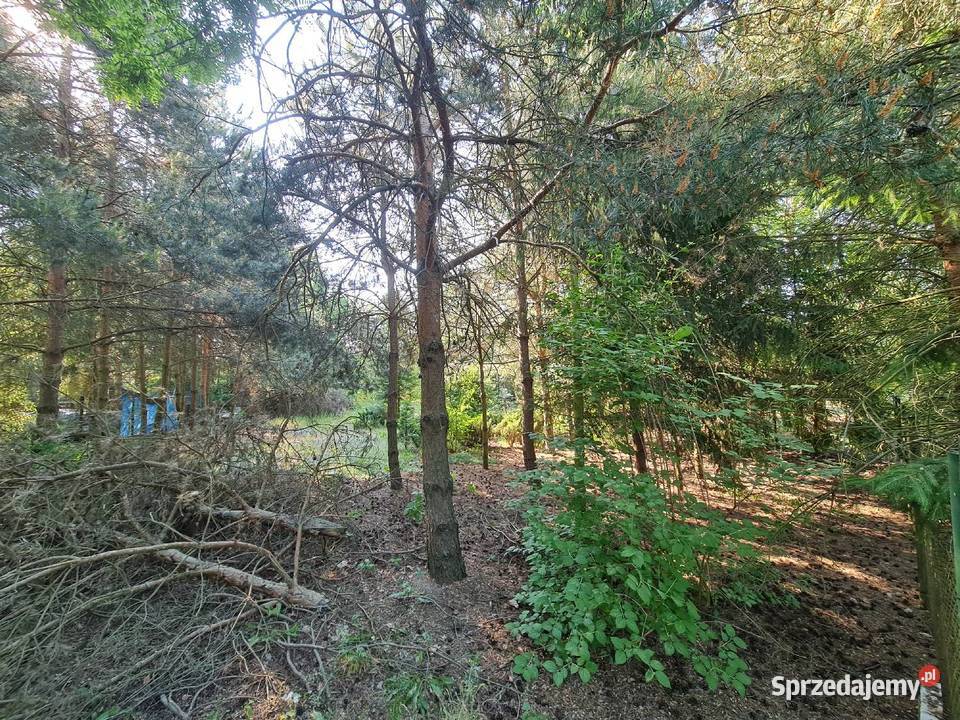 Działka Siedlątków Jeziorsko 800m2 Woda Prąd 801m2 łódzkie