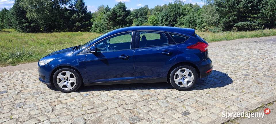 Ford Focus ładny zadbany manualna Focus wielkopolskie Piła