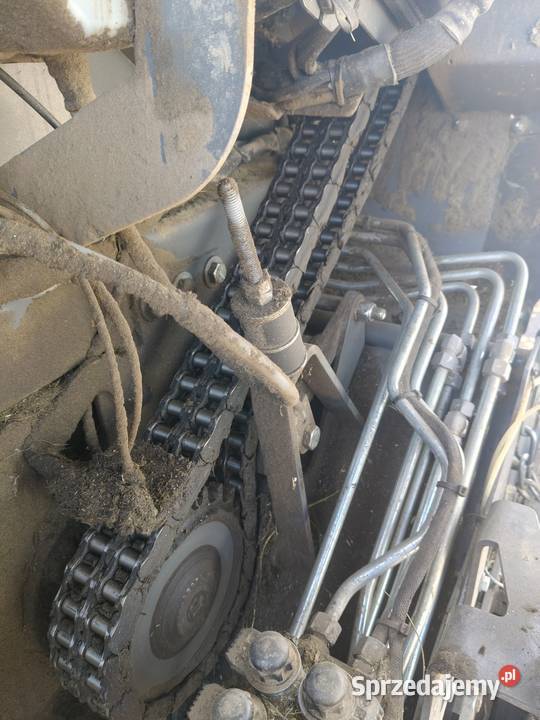 Prasa belującą Augustów