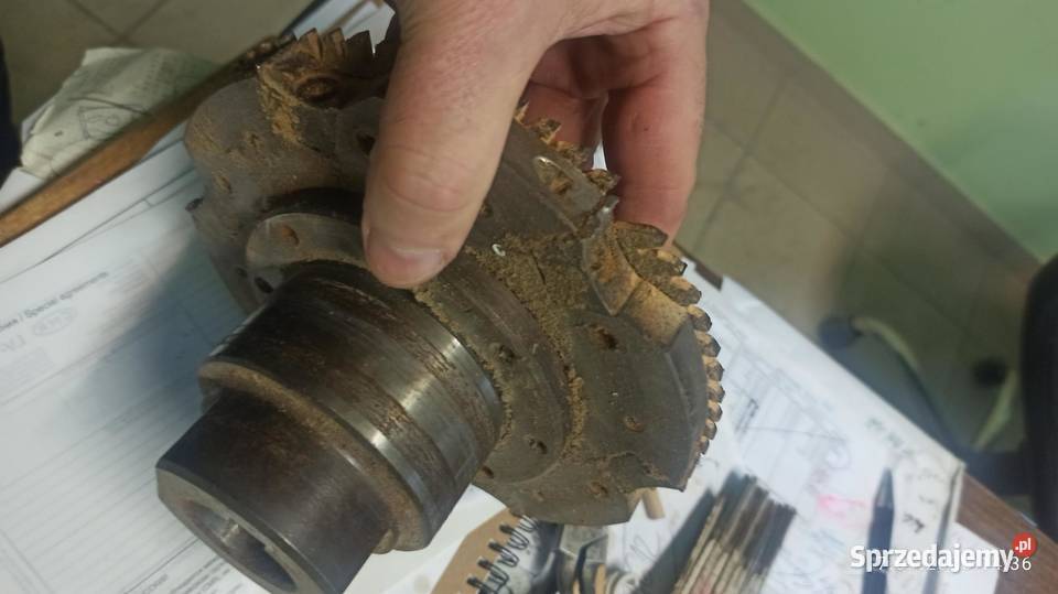 piło rębak do czopiarki Leitz lignum Kłodawa sprzedam