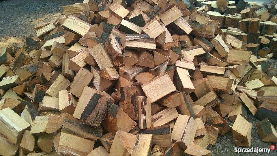 Drewno kominkowe buk