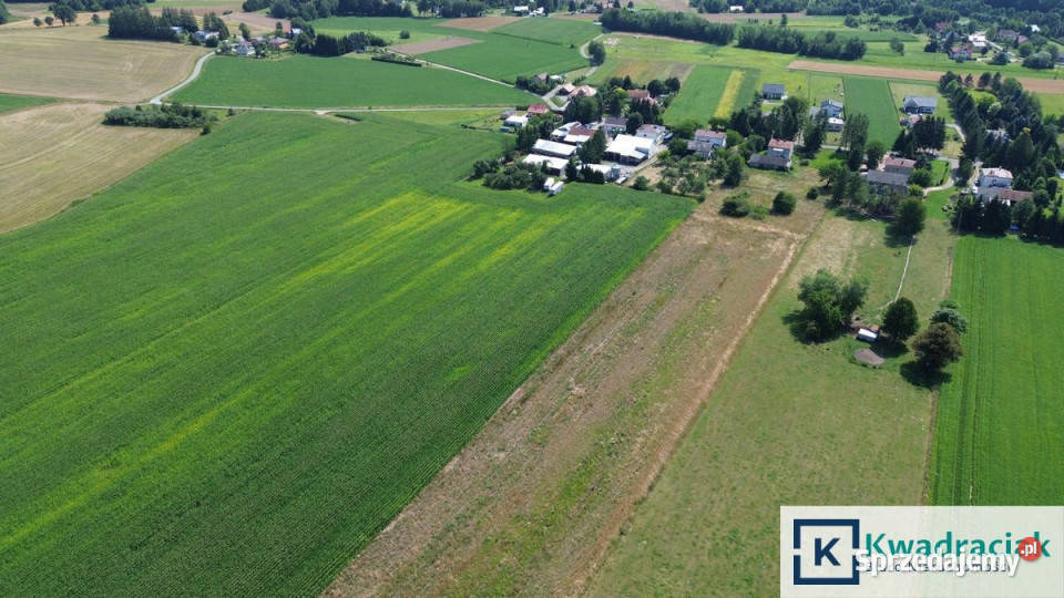 Sprzedam dom wolnostojący Jaszczew 10507 metrów