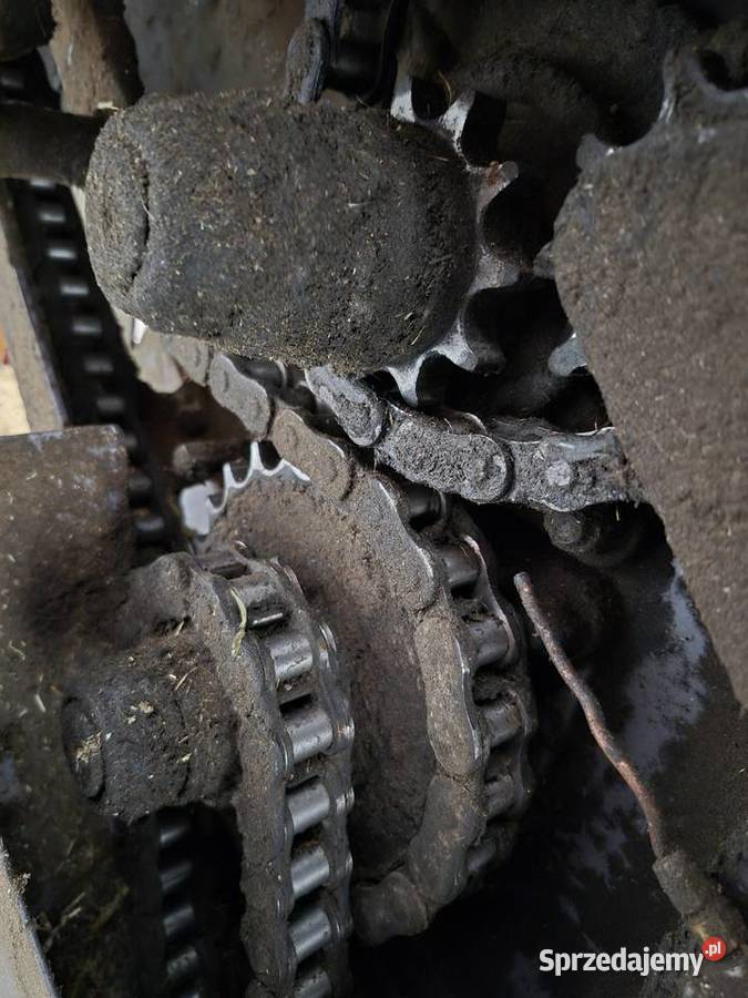 Prasa Rolujące (belujące) podlaskie Pace