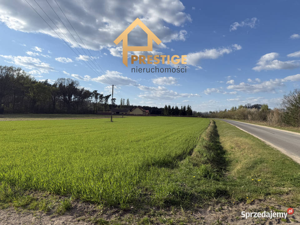 Działki budowlane lesieNowy Świat gmina Nowy Świat