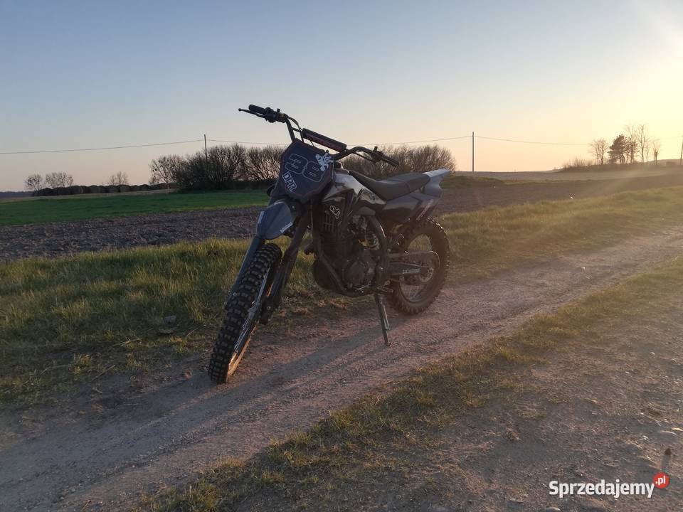 Diabolini TTR250