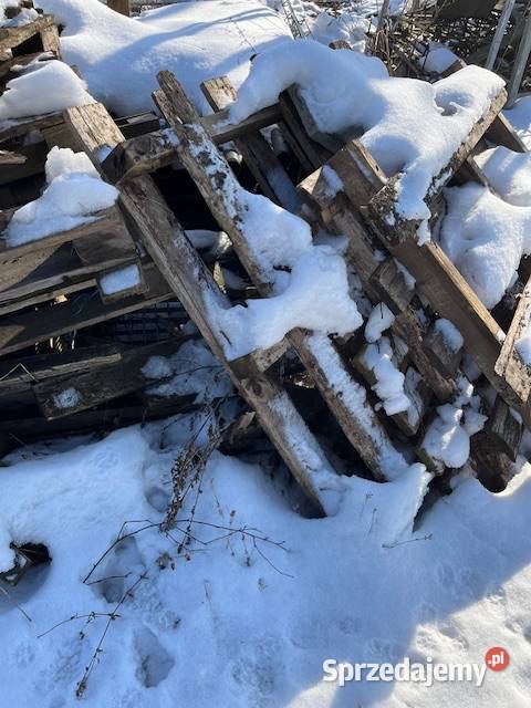 Drewno kominkowe i opałowe Opał