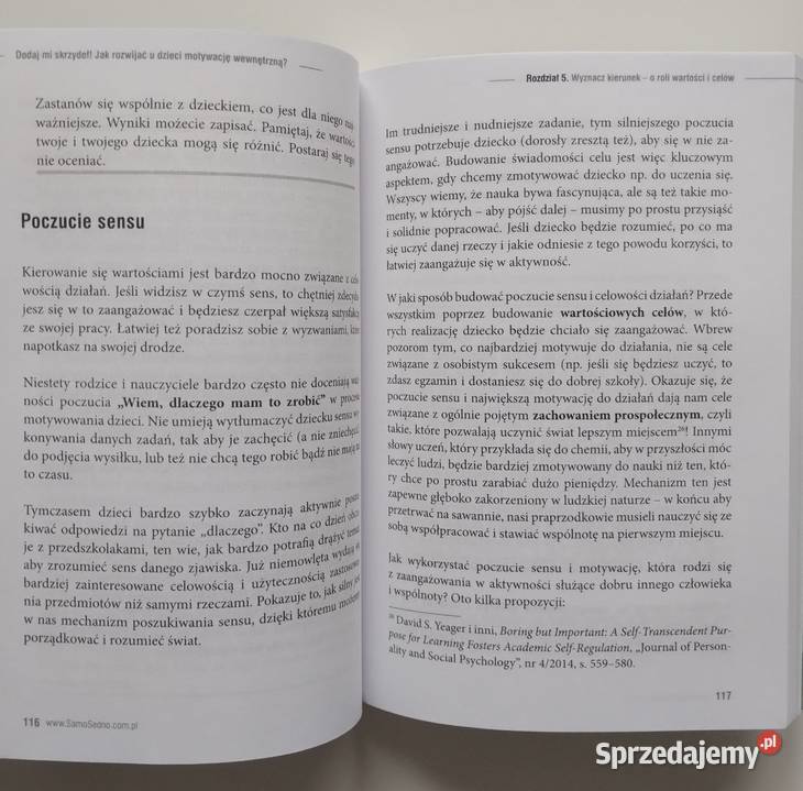 Dodaj mi skrzydeł Rozwój psychiczny młodzieży rodzina, ciąża, wychowanie Bełchatów sprzedam