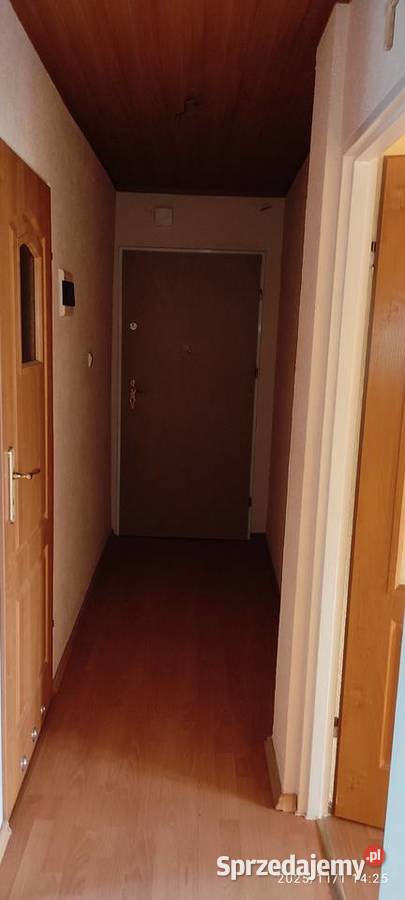 Sprzedam wyremontowane dwupokojowe mieszkanie w Lwówek Śląski