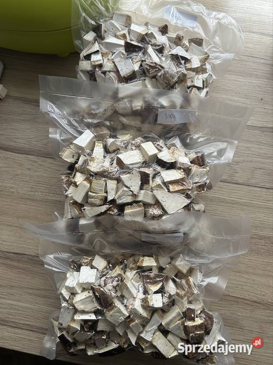 Białoporek brzozowy suszony 840g Gliwice