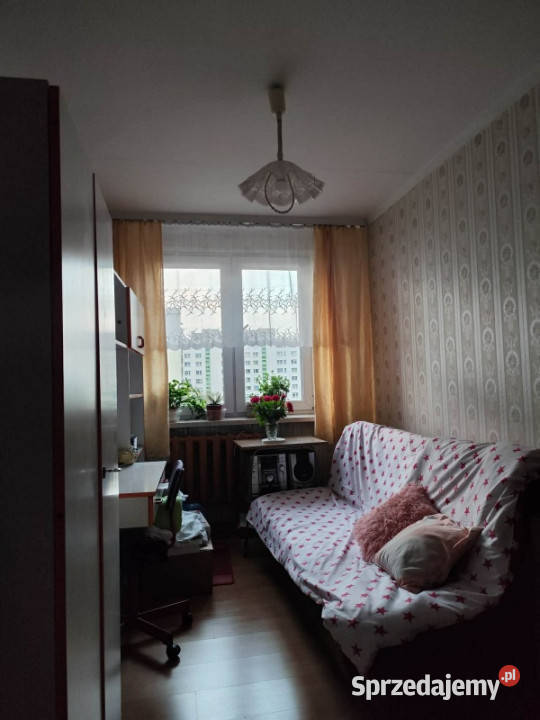 Sprzedam mieszkanie w Sosnowcu śląskie sprzedam