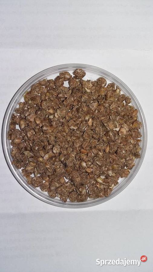 Karma kur Wiejski Zakątek 25 Higienizowana wielkopolskie Strzelce Wielkie