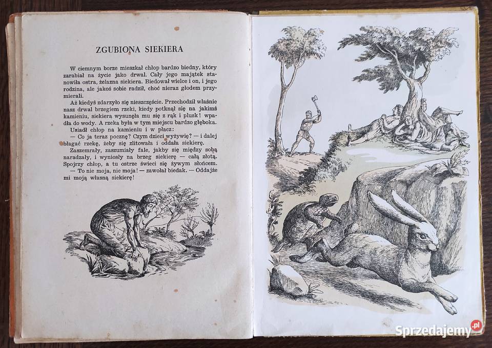 Unikat Bajki z tematów Ezopa 1953 Świderkówna Antykwariat mazowieckie Warszawa