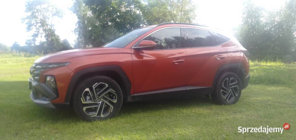 Hyundai Tucson 16 TGDi HEV Platinum 2WD hybryda Hyundai Biskupiec