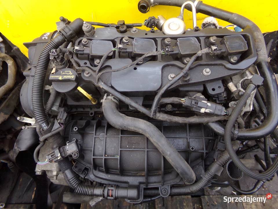 FOCUS MK3 C 16 ECOBOOST 15r 182 silnik JTDA JTJA Suków
