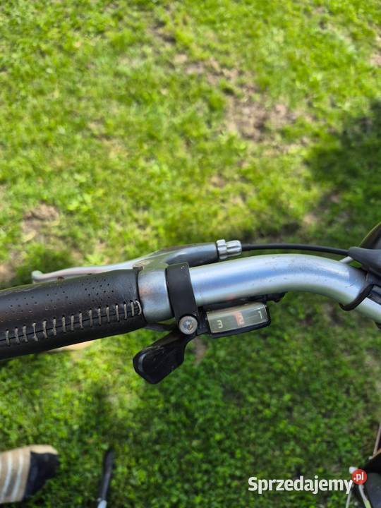 Rower trekkingowy Gazelle Allure Limited Koła 28 Trekkingowe Gostyń sprzedam