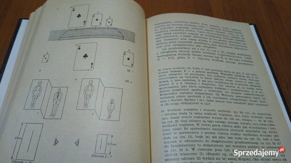Percepcja Julian E Hochberg 1970 TWARDA Książki naukowe i popularnonaukowe Gdańsk