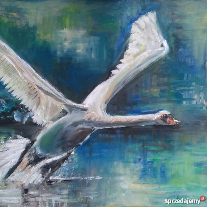 Obraz olejny Jeziorem 60 x 80 Szczecin