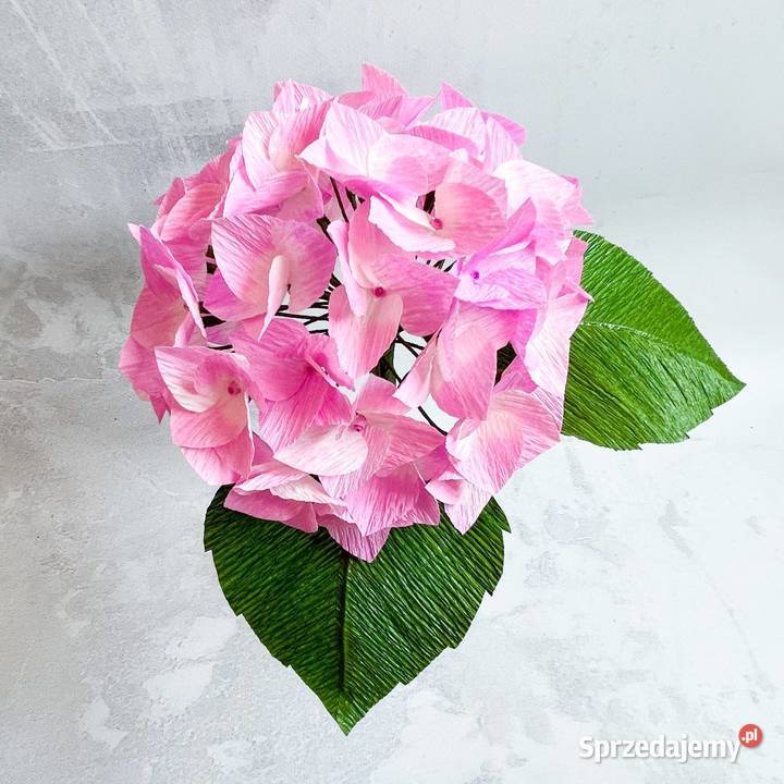 Hortensja z krepiny włoskiej Kompozycje kwiatowe