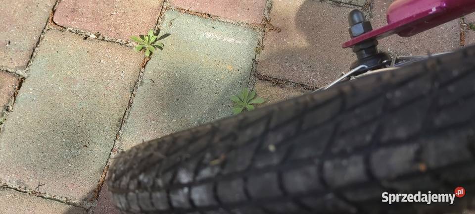 Hulajnoga Ostrowiec Świętokrzyski