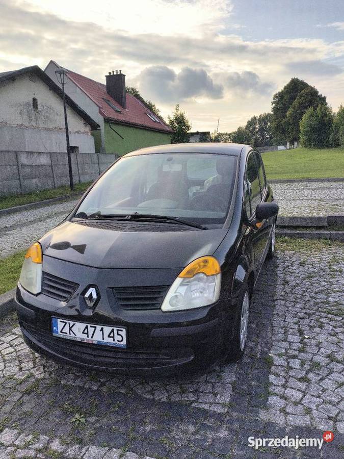 Renault Modus 12 Ryczów