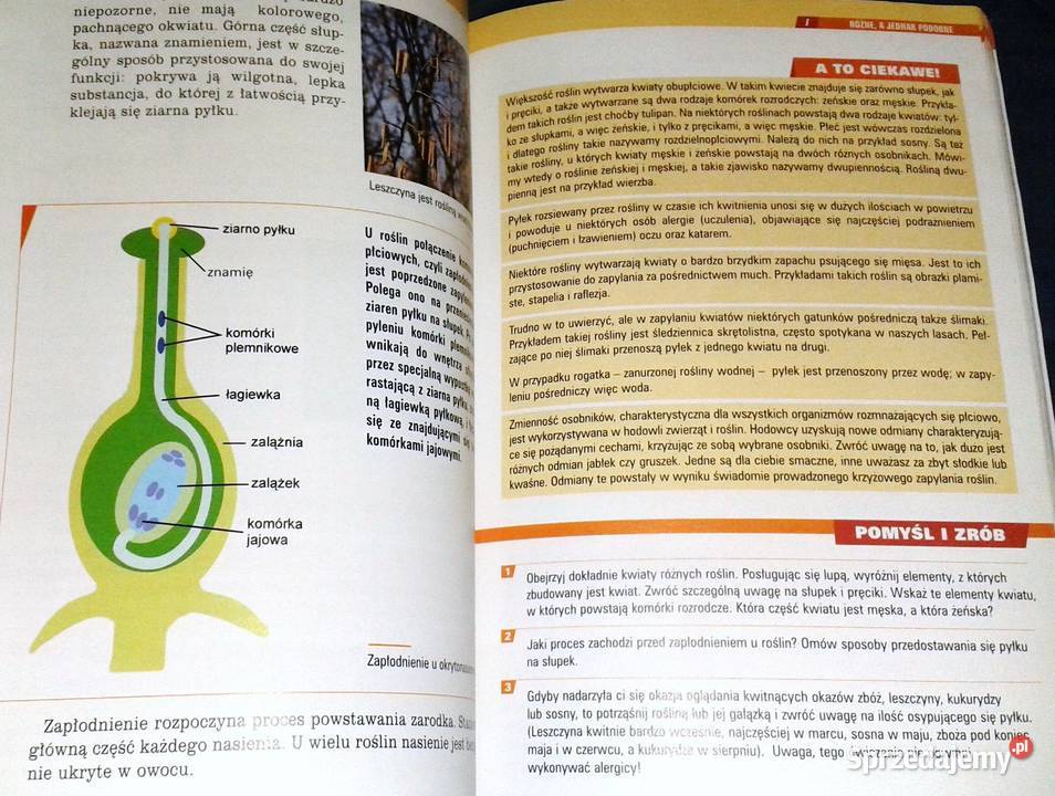 Spotkania z przyrodą 5 A Czubaj R Czubaj R