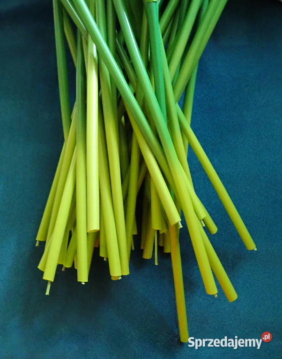 Tulipan sztuczny realistyczny do bukietów 49 Siewierz