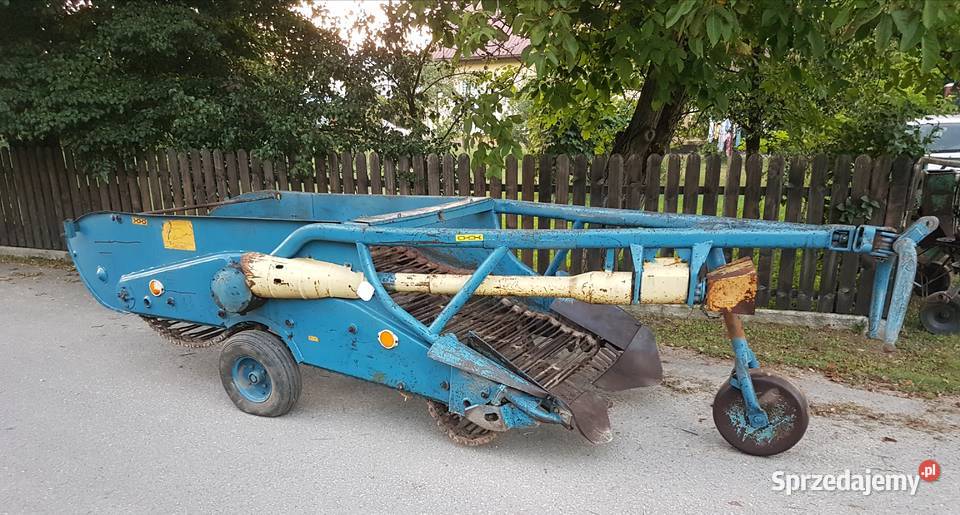 Kopaczka do ziemniaków Elewatorowa 2rzędowa w Dąbrowa Tarnowska