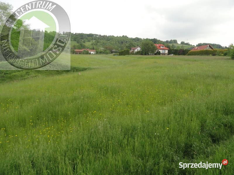 Działka do sprzedania 5422m2 Mszalnica sprzedam