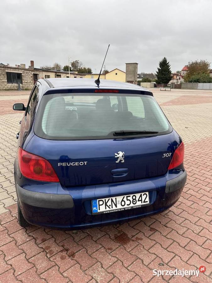 Peugeot 307 16 benzyna LPG 302000km wielkopolskie Kleczew