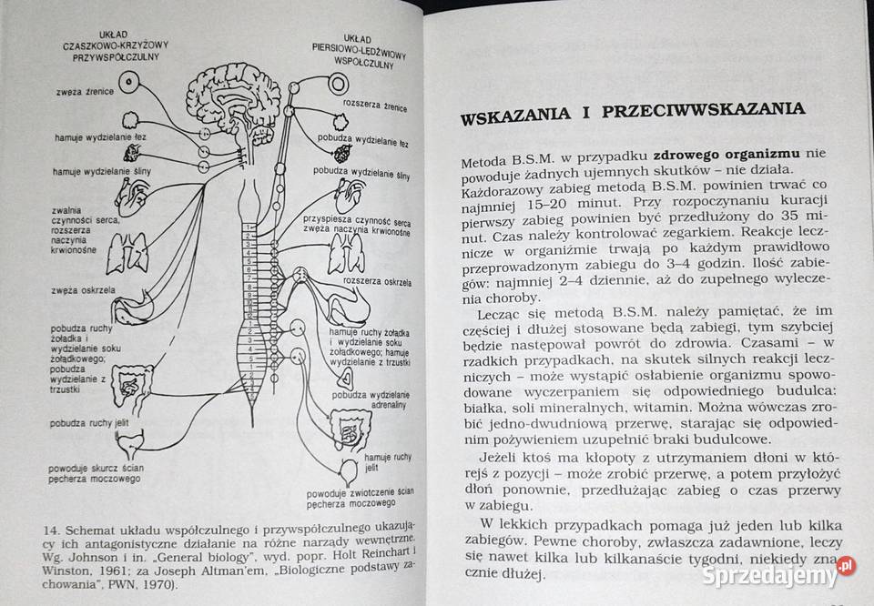 Samoleczenie metodą BSM Piotr Lewandowski Chełm sprzedam