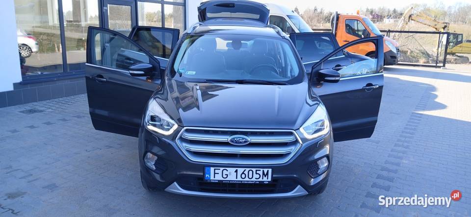 Kuga bezwypadkowa 20Gaz 242 Niski przebieg