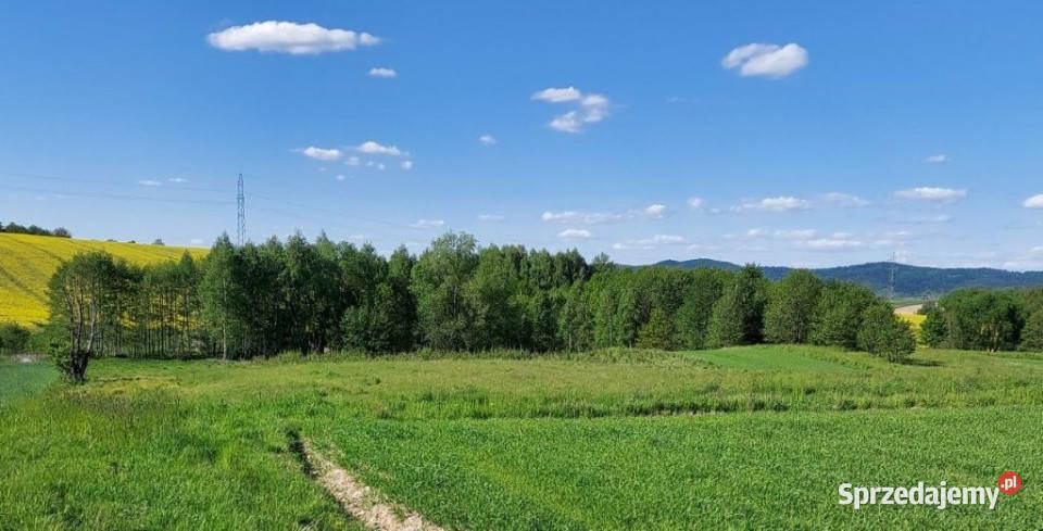 sprzedaży działki 2852m2 Chrząstówka 27zł/m2 sprzedam