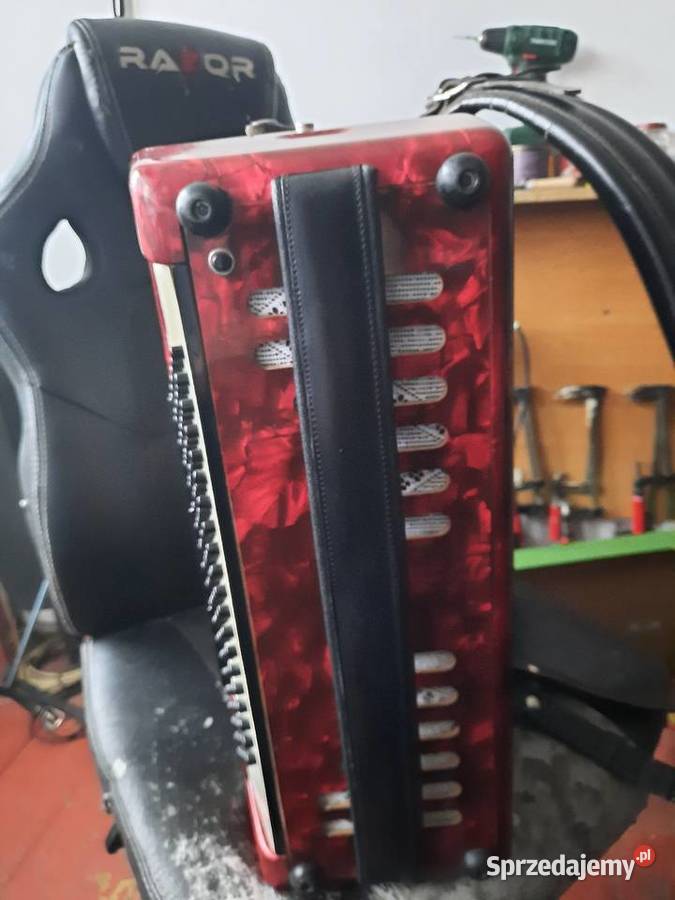 dzis w sprzedaży akordeon barccarola 120 basow Pozostałe