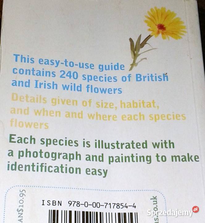 Wild flowers Martin Walters Collins Gem