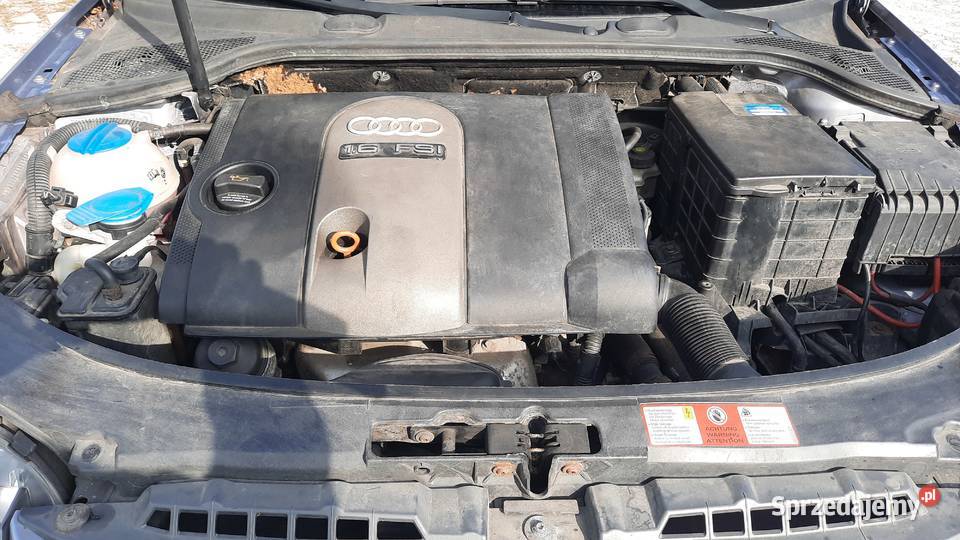 Audi A3 8P 16 Benzyna 5 Drzwi sprawna Klima Alu VAT marża lubelskie Kraśnik sprzedam