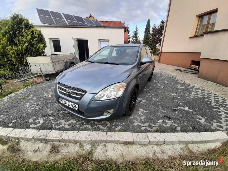Kia ceed wielkopolskie Gniezno