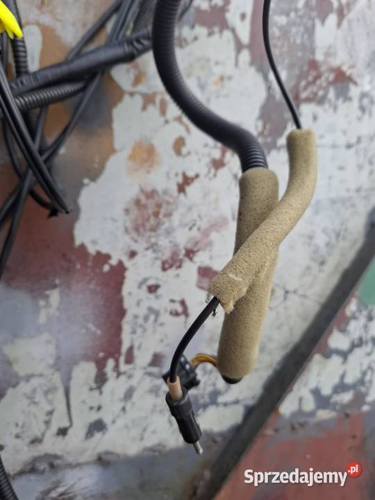 Wiązka anteny dachowej radiowa Honda Accord VI 6 osobowe świętokrzyskie Ostrowiec Świętokrzyski