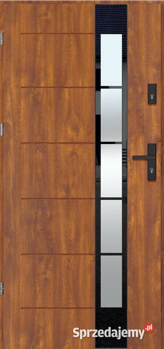 THERMO TEMPER GLASS 2 Nowe Drzwi zewnętrzne Częstochowa