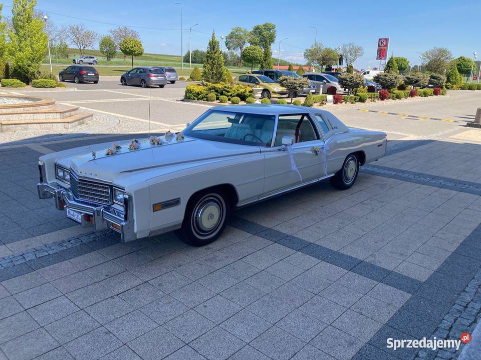 Zabytkowe autosamochód do ślubu Cadillac Wynajem pojazdów